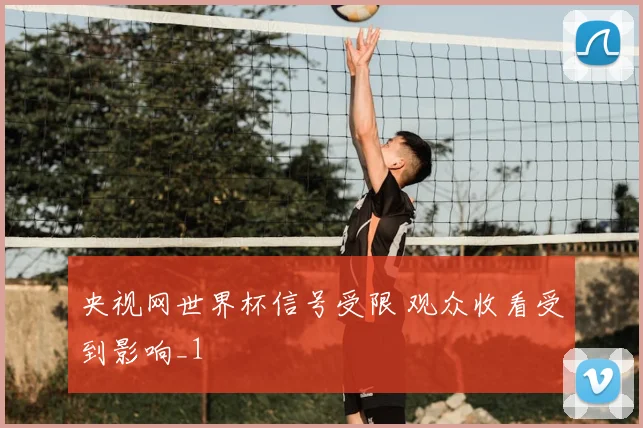 央视网世界杯信号受限 观众收看受到影响_1