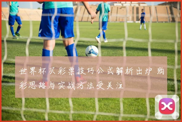世界杯买彩票技巧公式解析出炉 购彩思路与实战方法受关注