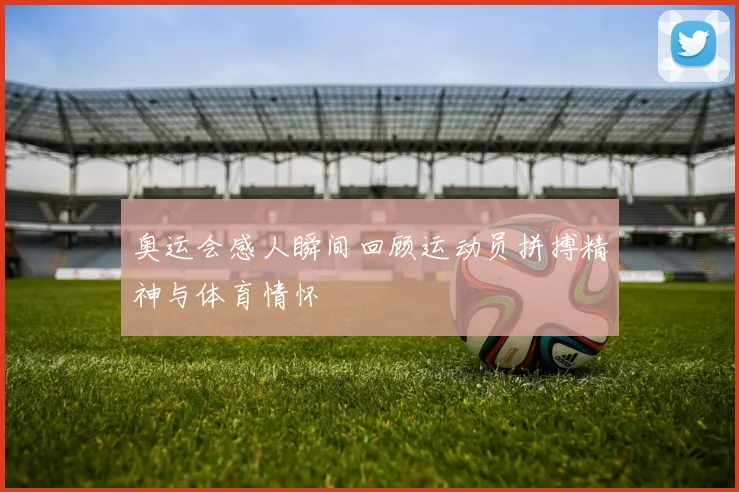 奥运会感人瞬间回顾运动员拼搏精神与体育情怀