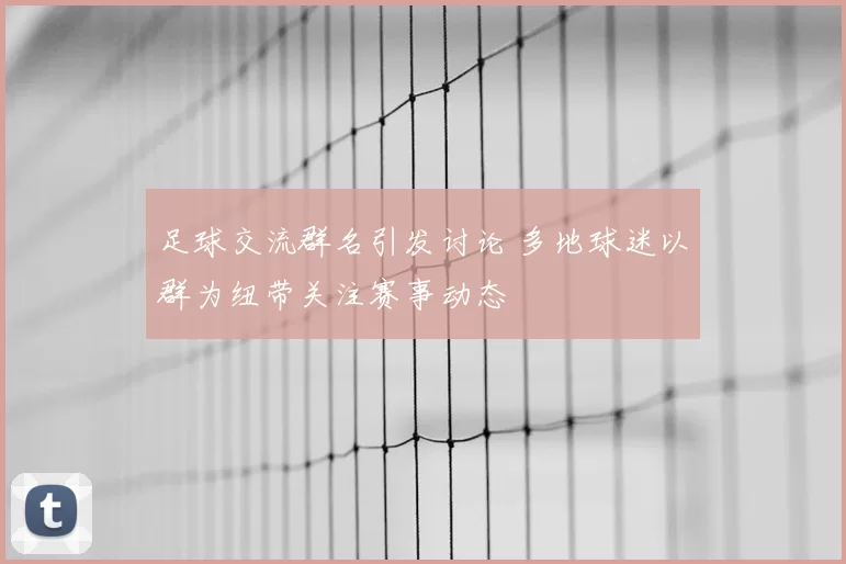 足球交流群名引发讨论 多地球迷以群为纽带关注赛事动态
