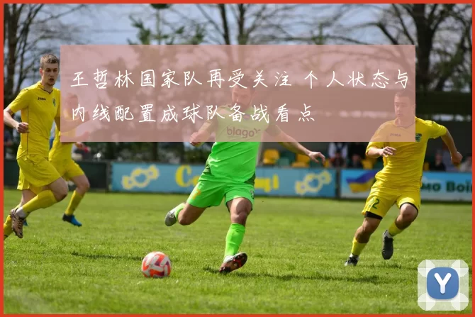 王哲林国家队再受关注 个人状态与内线配置成球队备战看点